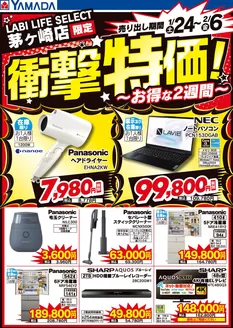 秦野市でのヤマダ電機のカタログ | 排他的な掘り出し物 | 2026-01-23T00:00:00.000Z - 2026-02-06T00:00:00.000Z