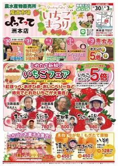 北葛城郡での産直市場よってってのカタログ | 産直市場よってって チラシ | 2026-01-30T00:00:00.000Z - 2026-02-03T00:00:00.000Z