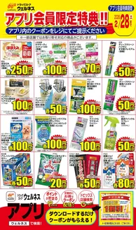 米原市でのウェルネスのカタログ | 21228 ウェルネスアプリクーポンチラシ | 2026-01-31T00:00:00.000Z - 2026-02-28T00:00:00.000Z