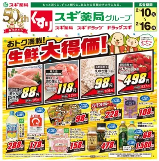 いすみ市でのスギ薬局のカタログ | 現在の特別プロモーション | 2026-02-10T00:00:00.000Z - 2026-02-16T00:00:00.000Z