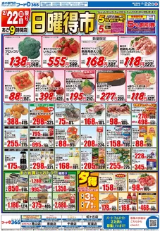 荒尾市でのフードDのカタログ | フードD チラシ | 2026-02-21T00:00:00.000Z - 2026-02-24T00:00:00.000Z