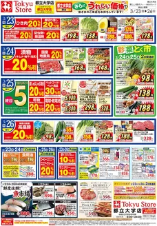 秦野市での東急ストアのカタログ | 排他的な掘り出し物 | 2026-03-22T00:00:00.000Z - 2026-03-26T00:00:00.000Z