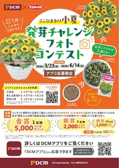 八戸市でのサンワドーのカタログ | サンワドー チラシ | 2026-03-23T00:00:00.000Z - 2026-06-14T00:00:00.000Z