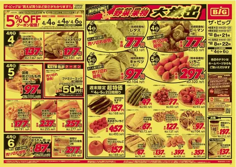 ザ・ビッグのカタログ | トップディールと割引 | 2026-04-04T00:00:00.000Z - 2026-04-06T00:00:00.000Z