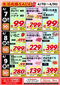 たいらやのカタログ | 今すぐ私たちの取引で節約 | 2026-04-07T00:00:00.000Z - 2026-04-09T00:00:00.000Z