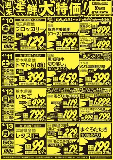 たいらやのカタログ | 排他的な掘り出し物 | 2026-04-10T00:00:00.000Z - 2026-04-13T00:00:00.000Z