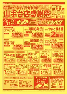相鉄ローゼンのカタログ | すべての掘り出し物ハンターのためのトップオファー | 2026-04-10T00:00:00.000Z - 2026-04-12T00:00:00.000Z