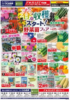 藤井寺市でのF1マートのカタログ | 現在の掘り出し物とオファー | 2026-04-18T00:00:00.000Z - 2026-04-24T00:00:00.000Z