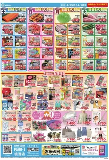 スーパーセンタープラントのカタログ | 選ばれた製品の素晴らしい割引 | 2026-04-25T00:00:00.000Z - 2026-04-28T00:00:00.000Z