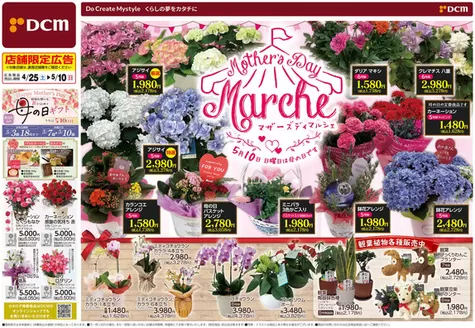 砥部町でのDCMのカタログ | 私たちのお客様のための排他的な取引 | 2026-04-24T00:00:00.000Z - 2026-05-10T00:00:00.000Z
