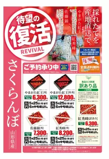 ランドロームのカタログ | 掘り出し物ハンターのためのオファー | 2026-05-01T00:00:00.000Z - 2026-05-25T00:00:00.000Z