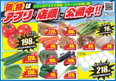 越前市でのクスリのアオキのカタログ | 割引とプロモーション | 2026-05-02T00:00:00.000Z - 2026-05-16T00:00:00.000Z