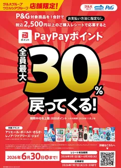 ハッピードラッグのカタログ | PG PayPayポイント 30還元 | 2026-04-30T00:00:00.000Z - 2026-06-30T00:00:00.000Z