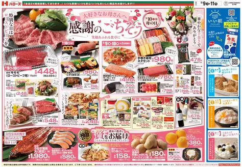 ハローズのカタログ | ハローズ チラシ | 2026-05-09T00:00:00.000Z - 2026-05-11T00:00:00.000Z