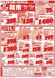 セイミヤのカタログ | 排他的な取引と掘り出し物 | 2026-05-10T00:00:00.000Z - 2026-05-11T00:00:00.000Z