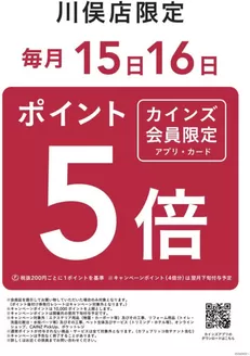 カインズホームのカタログ | 川俣店限定毎月15日16日はポイント5倍 | 2026-05-14T00:00:00.000Z - 2026-12-16T00:00:00.000Z