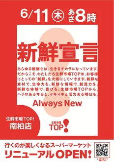 マミーマートのカタログ | すべての掘り出し物ハンターのためのトップオファー | 2026-05-14T00:00:00.000Z - 2026-06-10T00:00:00.000Z