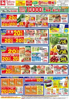 フレルさぎ沼のカタログ | 2026/5/18 | 2026-05-17T00:00:00.000Z - 2026-05-21T00:00:00.000Z