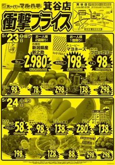 マルハチのカタログ | 箕谷店　衝撃プライス！ | 2026-05-22T00:00:00.000Z - 2026-05-31T00:00:00.000Z