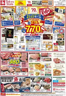東急ストアのカタログ | 現在の掘り出し物とオファー | 2026-05-24T00:00:00.000Z - 2026-05-28T00:00:00.000Z