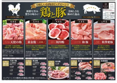 ビッグビーンズのカタログ | 芦屋店 | 2026-05-27T00:00:00.000Z - 2026-06-10T00:00:00.000Z