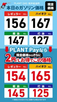 スーパーセンタープラントのカタログ | トップディールと割引 | 2026-05-29T00:00:00.000Z - 2026-05-31T00:00:00.000Z