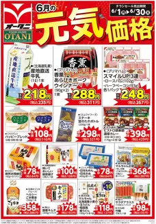 オータニのカタログ | 6月の元気価格商品を一部ご紹介します | 2026-05-31T00:00:00.000Z - 2026-06-30T00:00:00.000Z