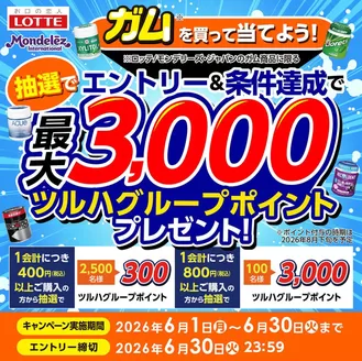 ウェルネスのカタログ | 61630 ウェルネス ガムマストバイキャンペーン | 2026-05-31T00:00:00.000Z - 2026-06-30T00:00:00.000Z
