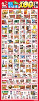 ハーベスのカタログ | 得ダネパワー100 | 2026-05-31T00:00:00.000Z - 2026-06-30T00:00:00.000Z