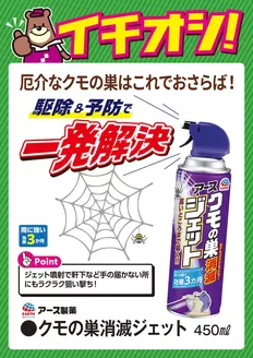 カンセキのカタログ | 掘り出し物ハンターのためのオファー | 2026-06-02T00:00:00.000Z - 2026-06-16T00:00:00.000Z