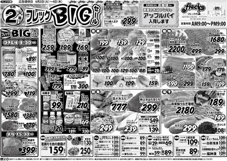 フレック九条のカタログ | フレックＢＩＧセール | 2026-06-02T00:00:00.000Z - 2026-06-02T00:00:00.000Z