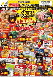 北方町でのアピタのカタログ | 排他的な取引と掘り出し物 | 2026-06-01T00:00:00.000Z - 2026-06-30T00:00:00.000Z