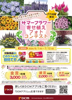 市原市でのDCMのカタログ | DCM チラシ | 2026-06-08T00:00:00.000Z - 2026-07-12T00:00:00.000Z