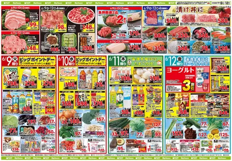 タイヨーのカタログ | タイヨー メニュー | 2026-06-09T00:00:00.000Z - 2026-06-12T00:00:00.000Z