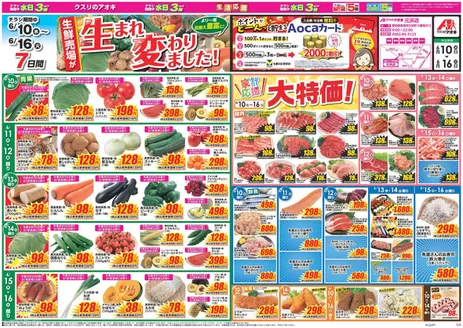 愛知県海部郡でのクスリのアオキのカタログ | あなたのための特別オファー | 2026-06-10T00:00:00.000Z - 2026-06-16T00:00:00.000Z