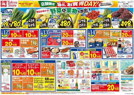 東急ストアのカタログ | 豊富なオファーの選択 | 2026-06-11T00:00:00.000Z - 2026-06-14T00:00:00.000Z