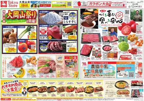東急ストアのカタログ | 発見するための新しいオファー | 2026-06-11T00:00:00.000Z - 2026-06-14T00:00:00.000Z