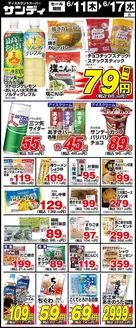 サンディのカタログ | サンディ 最新チラシ | 2026-06-11T00:00:00.000Z - 2026-06-17T00:00:00.000Z