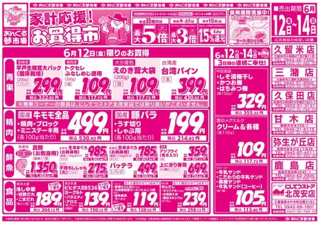にしてつストアのカタログ | 私たちのお客様のための排他的な取引 | 2026-06-08T00:00:00.000Z - 2026-06-14T00:00:00.000Z