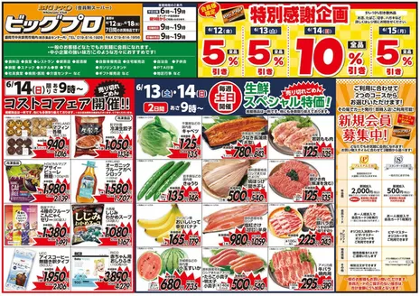 ベルジョイスのカタログ | ビッグプロ | 2026-06-11T00:00:00.000Z - 2026-06-18T00:00:00.000Z