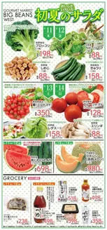 ビッグビーンズのカタログ | ウェスト本店 | 2026-06-11T00:00:00.000Z - 2026-06-14T00:00:00.000Z