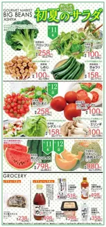 ビッグビーンズのカタログ | 芦屋店 | 2026-06-11T00:00:00.000Z - 2026-06-14T00:00:00.000Z