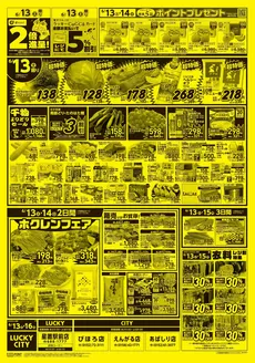 北雄ラッキーのカタログ | Luck260613hosi | 2026-06-13T00:00:00.000Z - 2026-06-16T00:00:00.000Z