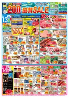 スターのカタログ | スター チラシ | 2026-06-13T00:00:00.000Z - 2026-06-14T00:00:00.000Z