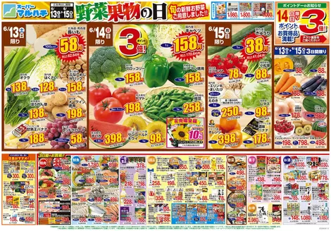 マルハチのカタログ | 2026年06月13日-15日 | 2026-06-12T00:00:00.000Z - 2026-06-15T00:00:00.000Z
