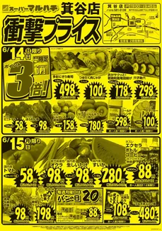 マルハチのカタログ | 衝撃プライス!! | 2026-06-14T00:00:00.000Z - 2026-06-30T00:00:00.000Z