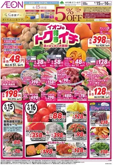 杉並区でのイオンのカタログ | 魅力的なオファーを発見する | 2026-06-13T00:00:00.000Z - 2026-06-16T00:00:00.000Z