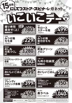 スピナのカタログ | スピナ チラシ | 2026-06-15T00:00:00.000Z - 2026-06-15T00:00:00.000Z