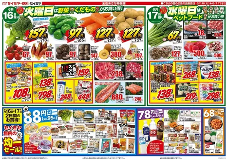 セイミヤのカタログ | 魅力的なオファーを発見する | 2026-06-16T00:00:00.000Z - 2026-06-17T00:00:00.000Z