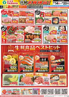 江戸川区でのたいらやのカタログ | 魅力的なオファーを発見する | 2026-06-14T00:00:00.000Z - 2026-06-20T00:00:00.000Z